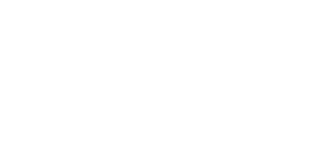 freedom-text freedom